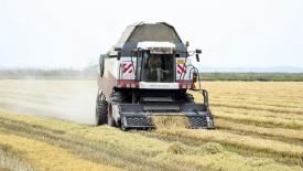 В Госдуму внесли законопроект о «рисопригодных землях»